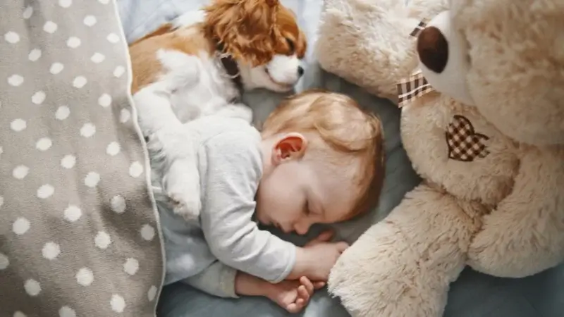 Est-il risqué de laisser son enfant dormir avec son animal ?