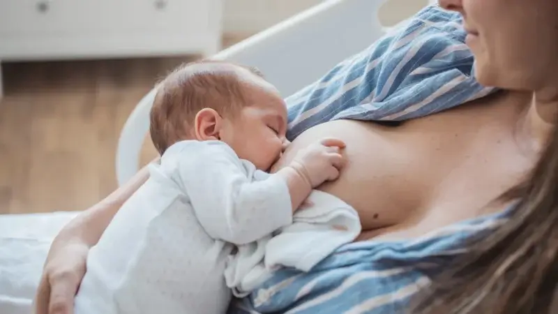 Zoom sur la tétée d’accueil