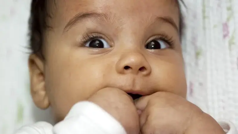 Le monde vu par bébé