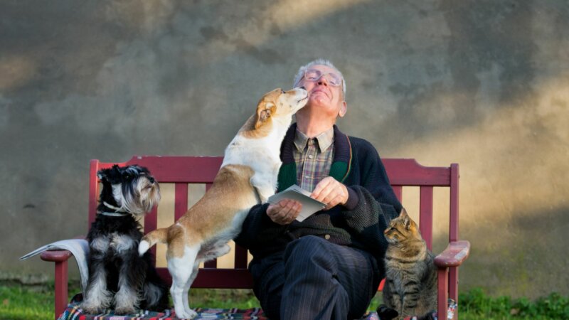 Animaux de compagnie en Ehpad : bénéfique pour les résidents mais de nombreuses questions
