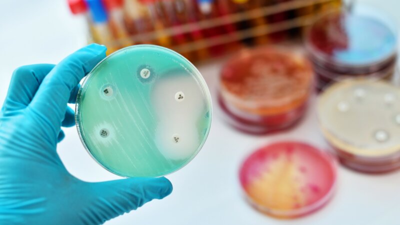Résistance aux antibiotiques : 750 000 décès pourraient être évités chaque année