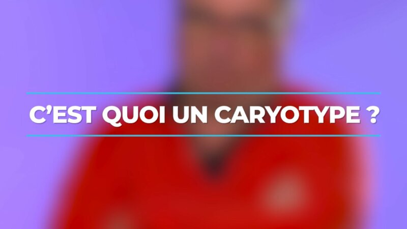 Aide médicale à la procréation : pourquoi réaliser un caryotype ? (Vidéo)