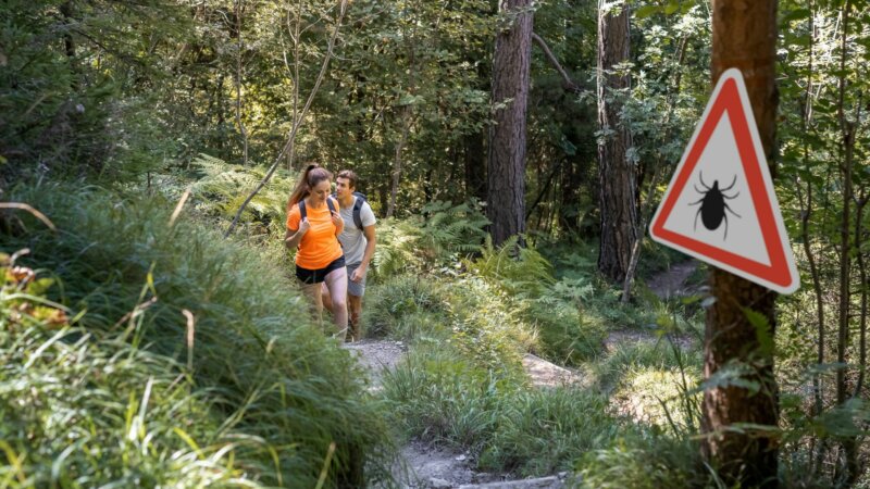 Fièvre hémorragique de Crimée-Congo : 6 questions sur ce virus transmis par la tique   