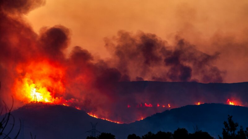 Exposition à la fumée des feux de forêt : quels risques pour la santé ?