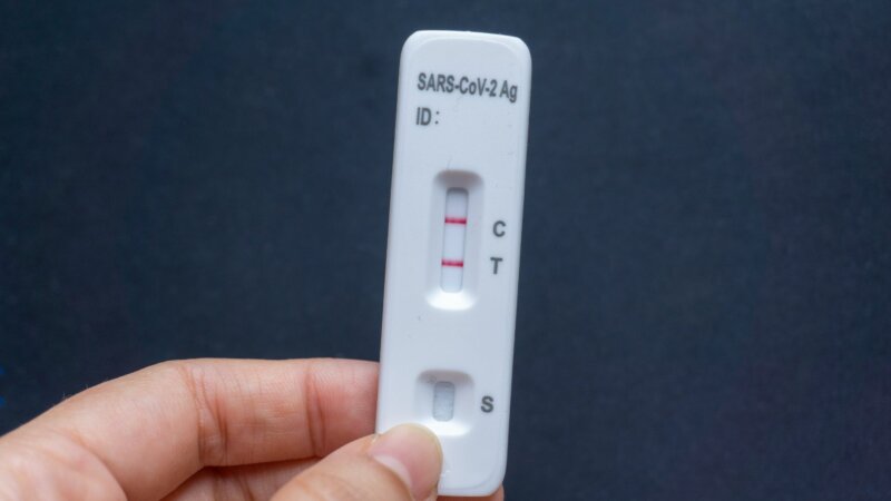 Covid-19 : faut-il s’inquiéter du nouveau variant XEC ?