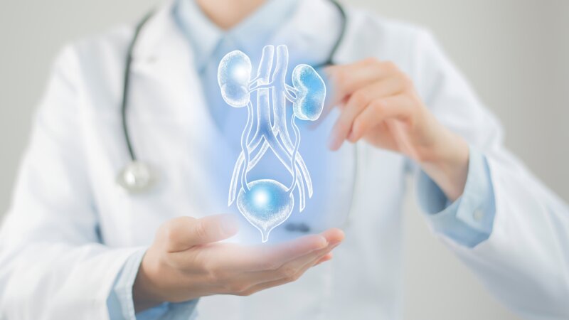 Cancer de la vessie : l’immunothérapie, un espoir concret contre les formes invasives