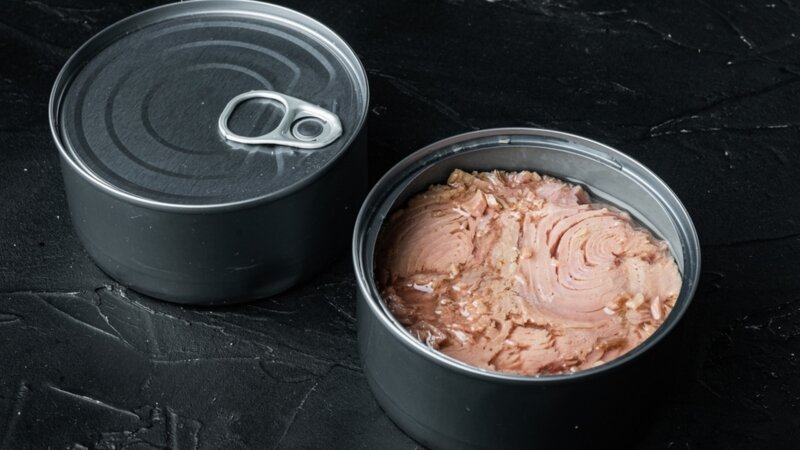 Du mercure dans les conserves de thon : quels risques pour la santé ?