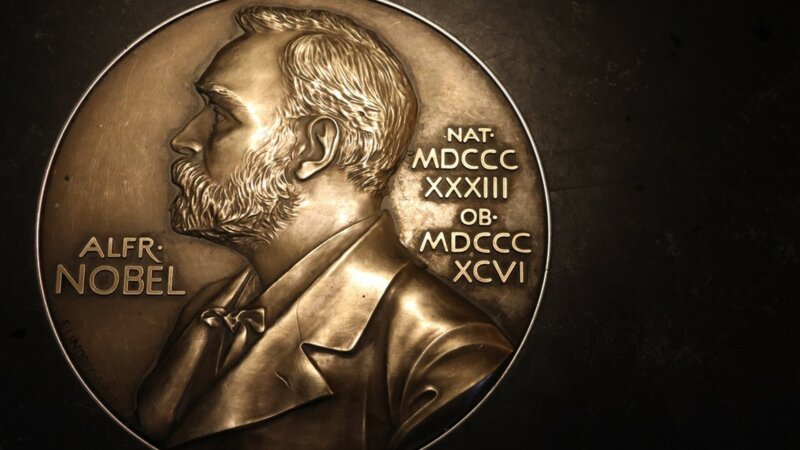Prix Nobel de Médecine : la découverte des microARN couronnée