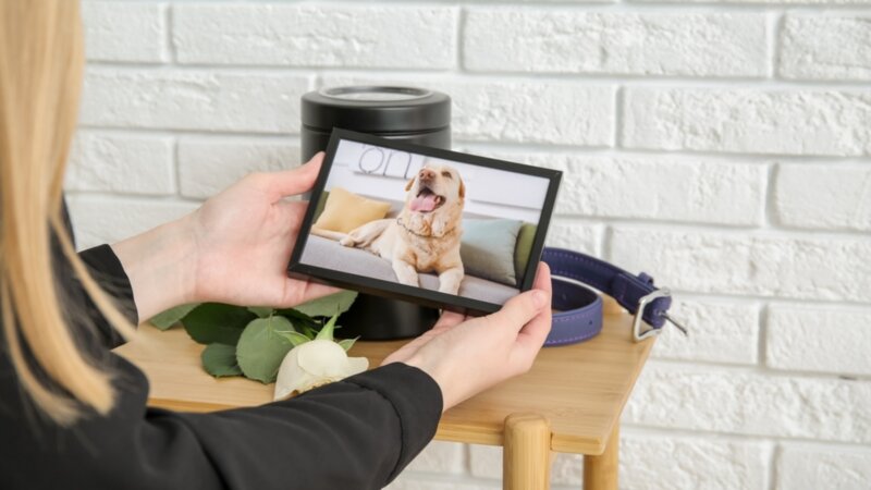 Le deuil animalier a aussi droit à ses rituels