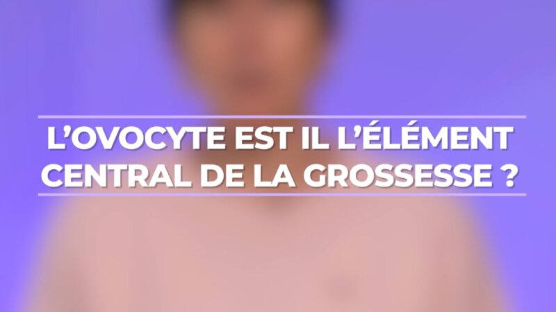 L’ovocyte, élément clé de la grossesse ? (Vidéo)