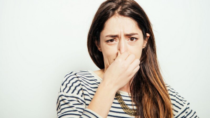 Flatulences : 5 choses à savoir sur nos pets