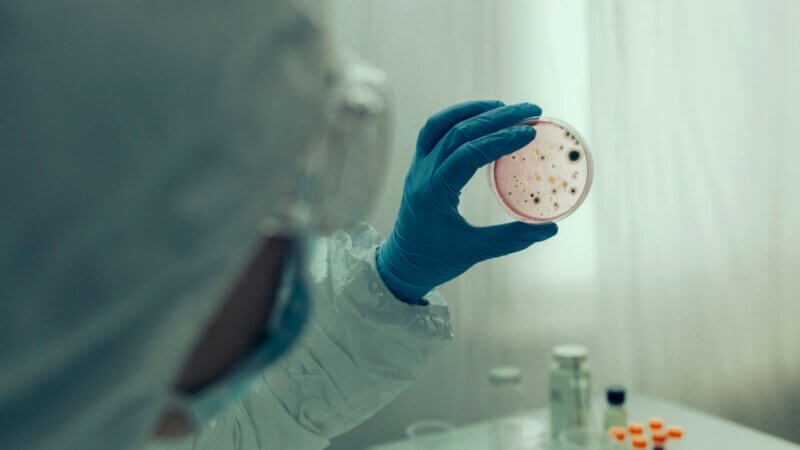 Choléra : une nouvelle souche résistante aux antibiotiques inquiète les scientifiques