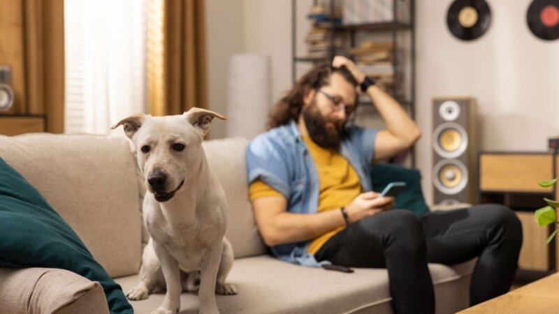 Posséder un chien : des bienfaits pour la santé… et quelques inconvénients