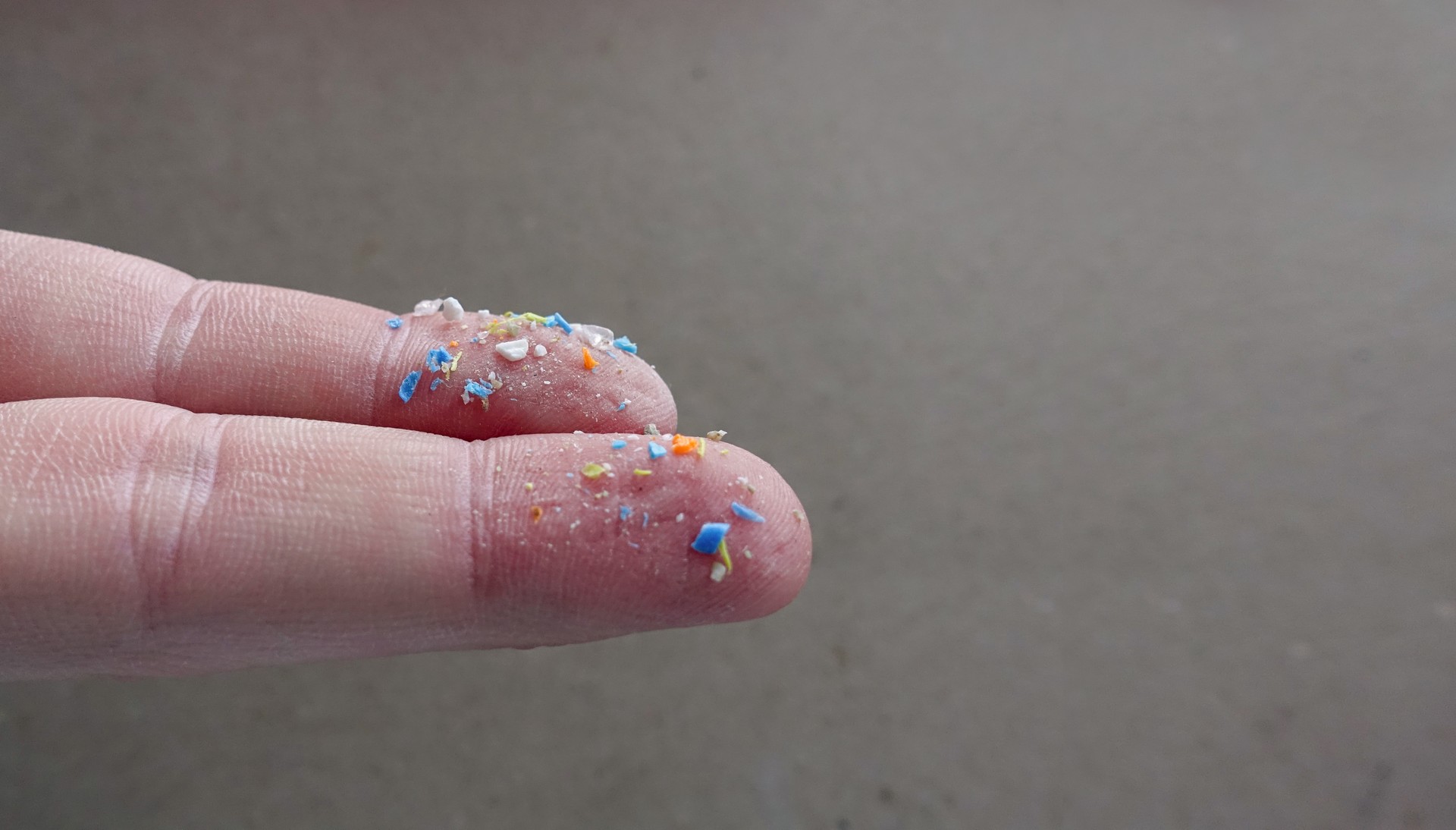 Microplastiques : l’équivalent d’une cuillère à café dans notre cerveau