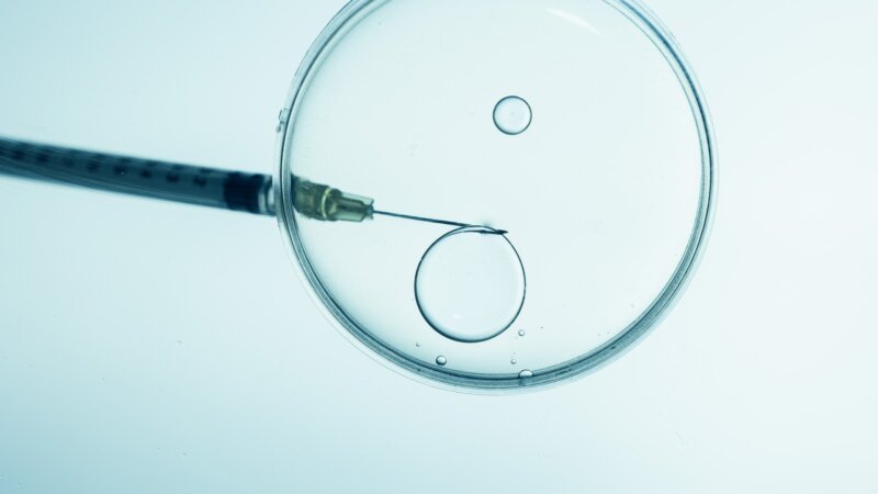 Fin des FIV avec des gamètes anonymes : qu’en est-il des embryons ?