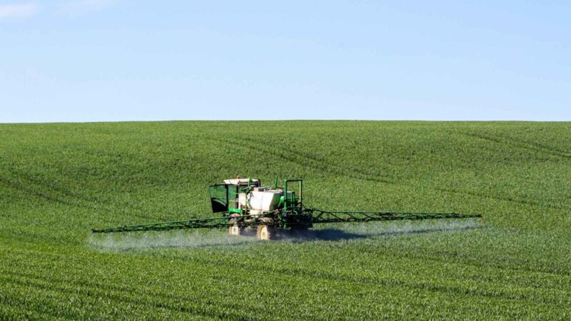 Effets des pesticides sur la santé : l’alerte de l’Anses