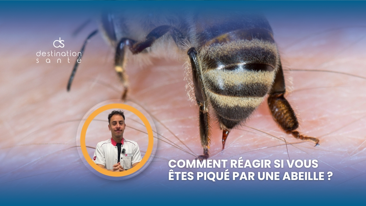 Comment réagir si vous êtes piqué par une abeille ? (Vidéo)