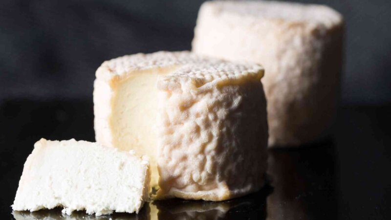 Encéphalite à tiques : attention aux fromages au lait cru…