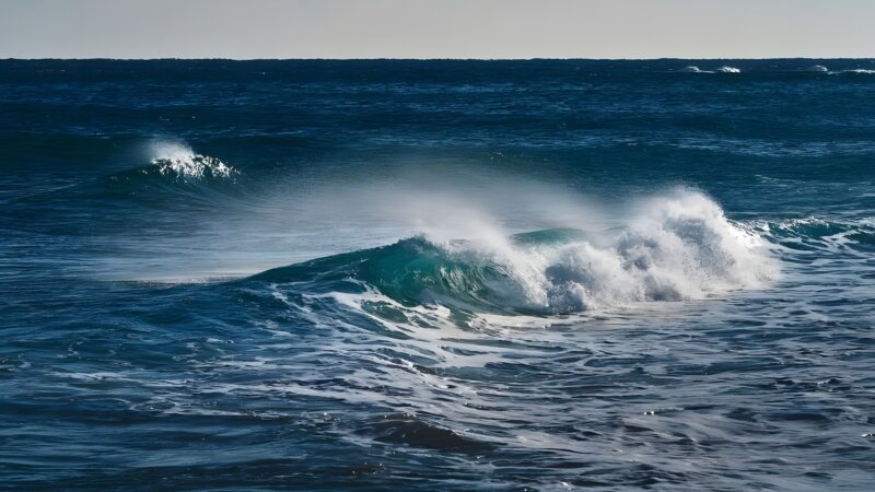 En finir avec l’expression « noyade sèche »…