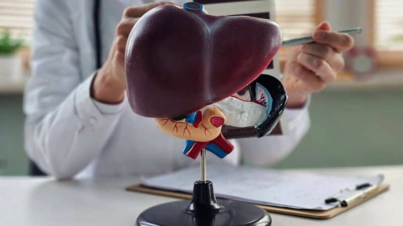 Cancers du foie : le nombre de cas devrait doubler d’ici 2050 sans mesure urgente