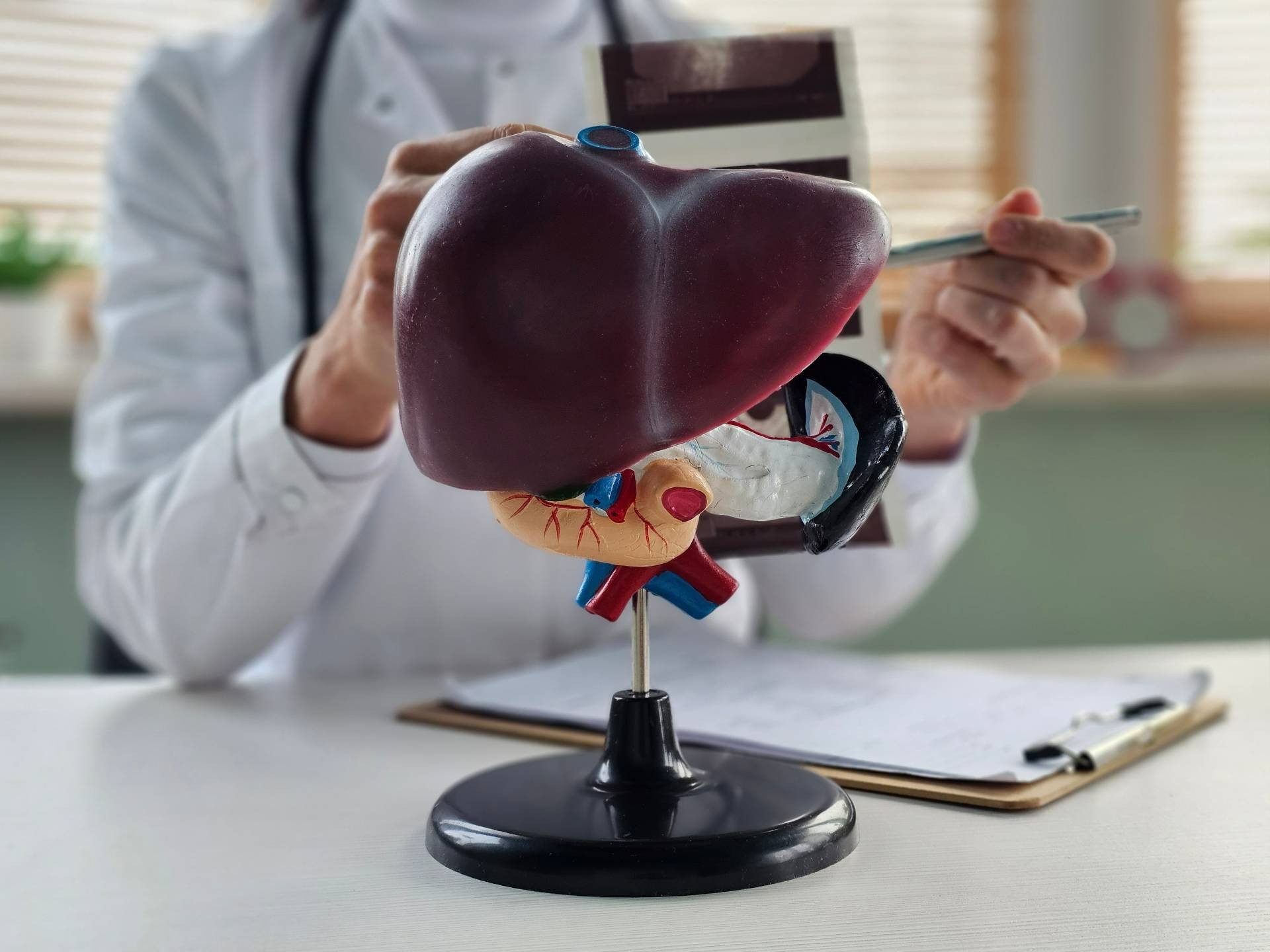 Cancers du foie : le nombre de cas devrait doubler d’ici 2050 sans mesure urgente