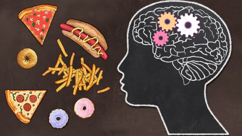 Faim ou envie de manger : le cerveau est aux commandes