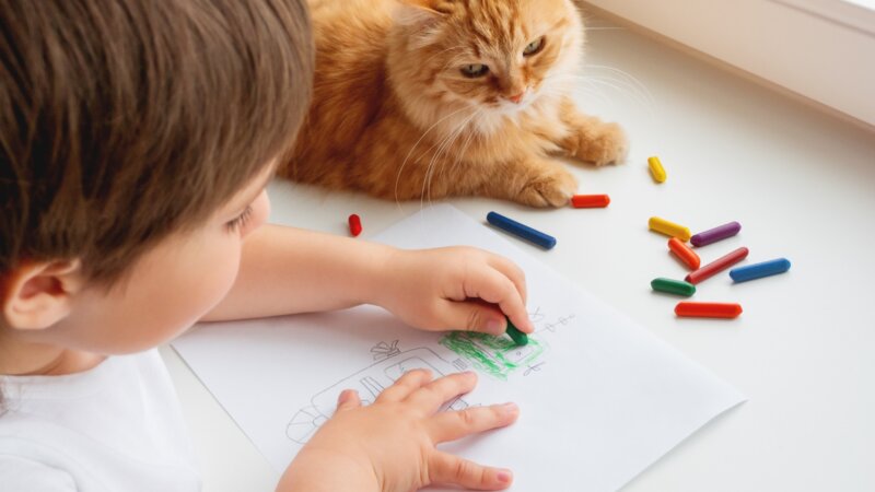 Journée mondiale des gauchers : non, ils ne seraient pas plus créatifs que les droitiers…