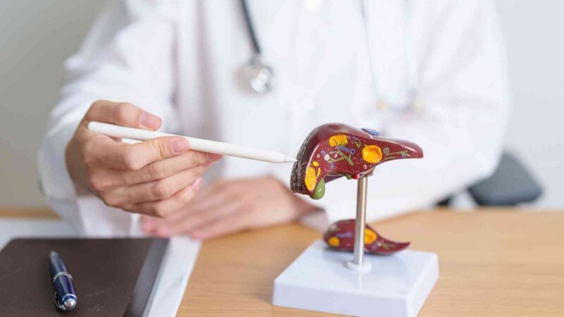 Cancer du foie : les inégalités sociales coûtent des centaines de vies chaque année en France