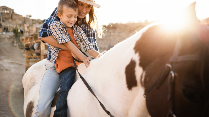 Autisme : un impact limité des thérapies complémentaires