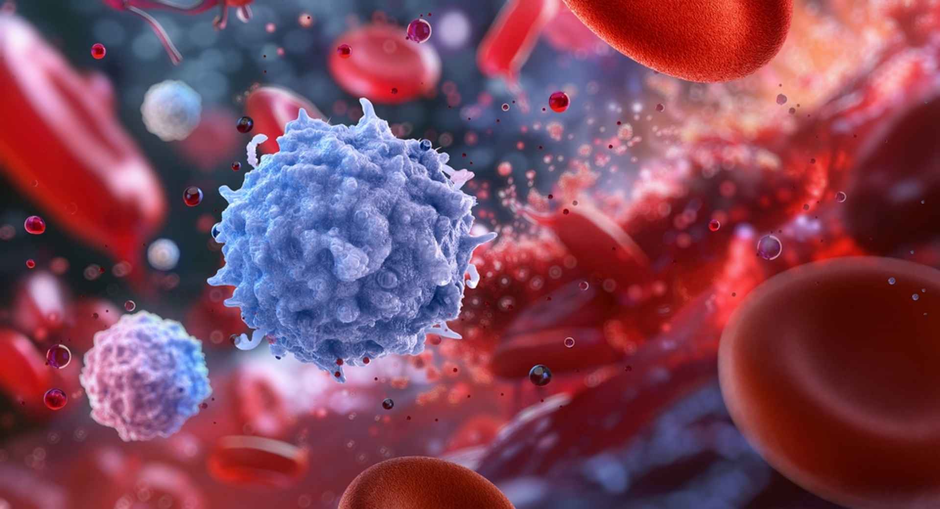 Le Prix Nobel de Médecine 2025 récompense des travaux sur le système immunitaire