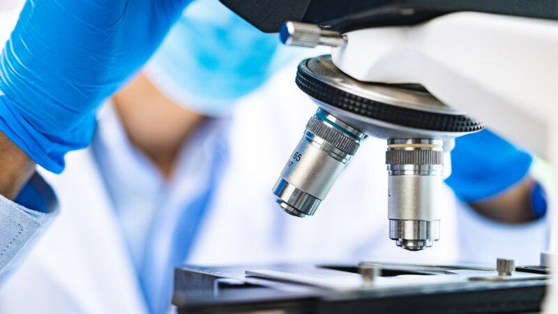 Immunothérapie : une nouvelle stratégie pour aider le système immunitaire à cibler les cellules cancéreuses