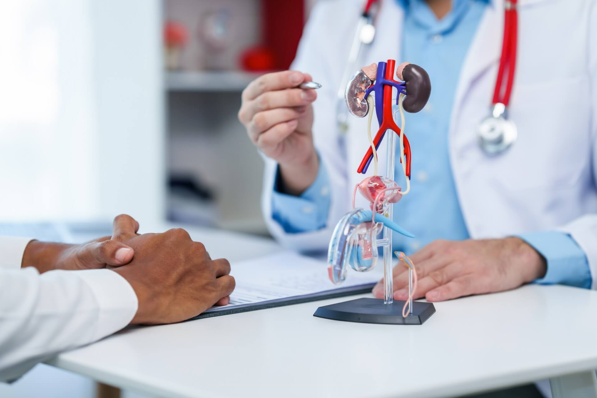 Cancer de la prostate : enfin un traitement efficace après une récidive ?