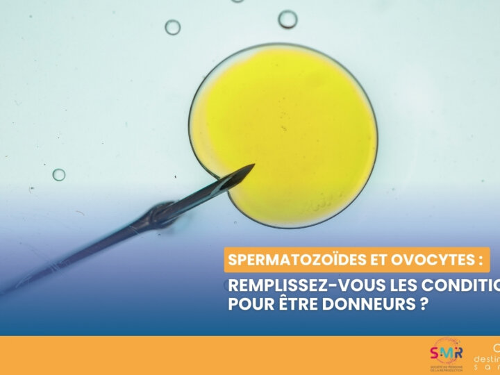 Don d’ovocytes ou de spermatozoïdes : quelles sont les conditions requises ? (Vidéo)