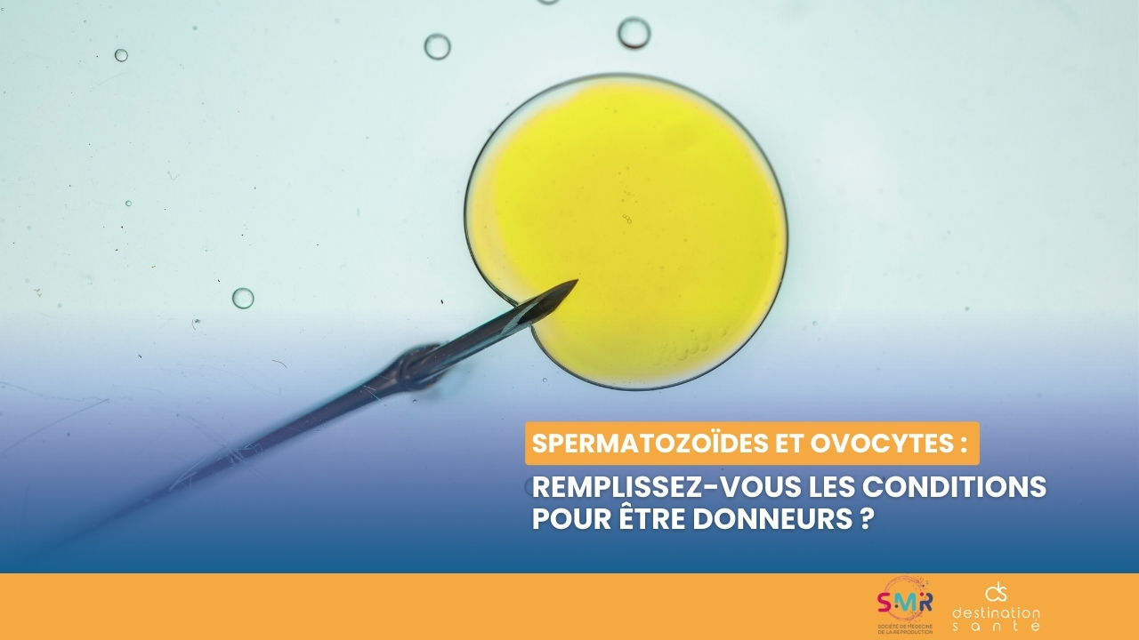 Don d’ovocytes ou de spermatozoïdes : quelles sont les conditions requises ? (Vidéo)