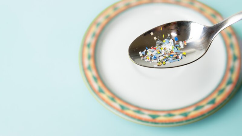 Les effets des nanoplastiques dépendent du régime alimentaire