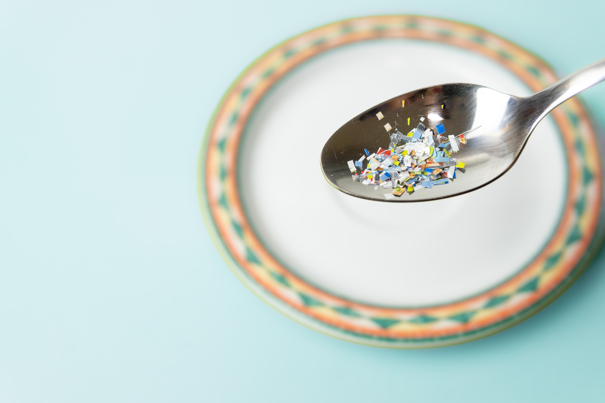 Les effets des nanoplastiques dépendent du régime alimentaire