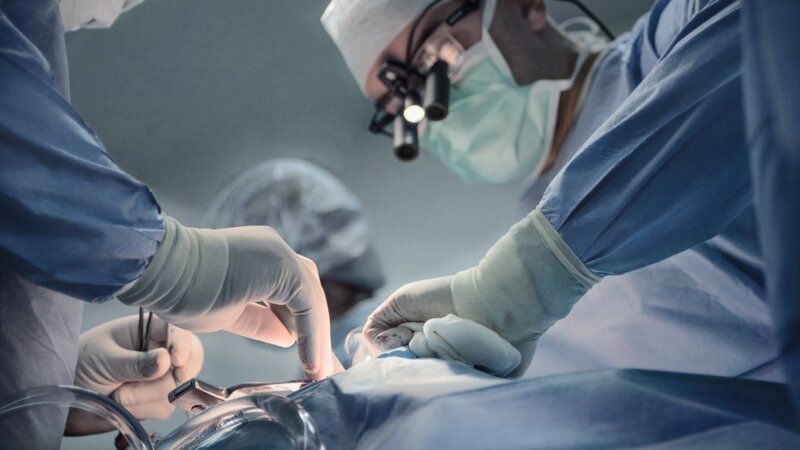 Don de rein du vivant : en finir avec ces 10 idées reçues !