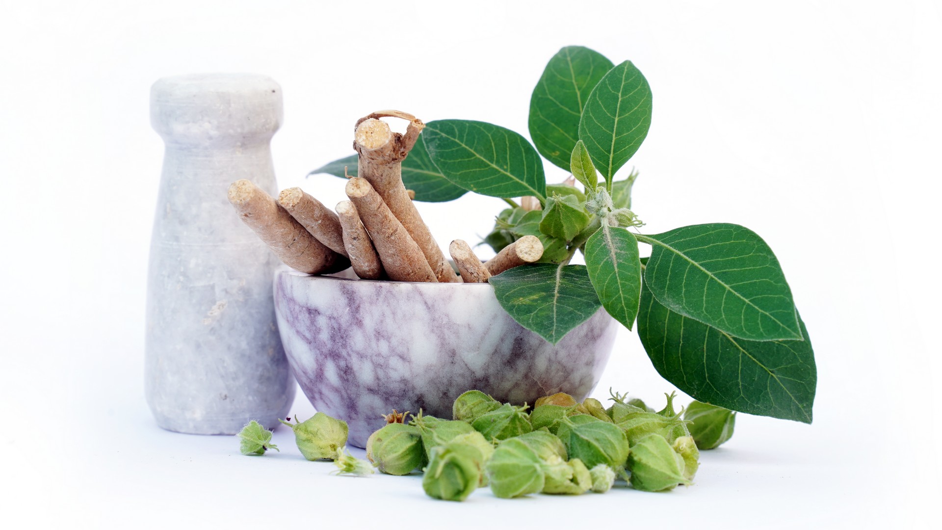 Phytothérapie : que penser de l’ashwagandha ?