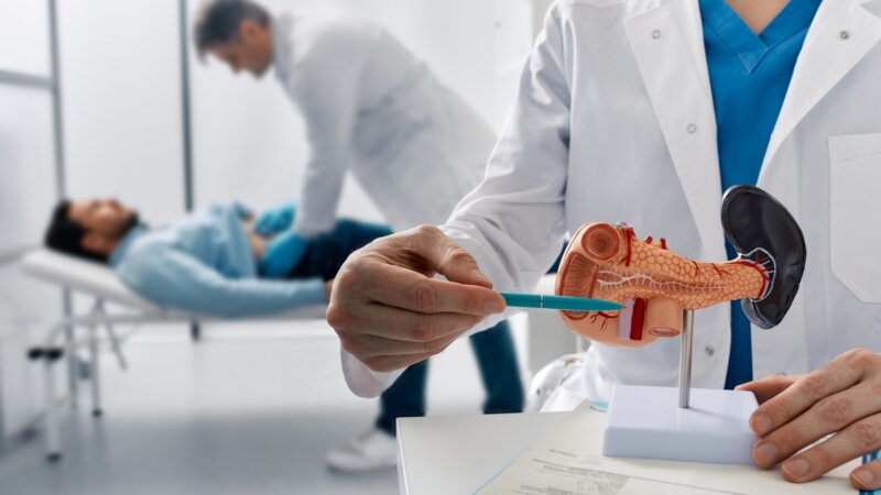 Cancer du pancréas : des scientifiques parviennent à éliminer la maladie chez la souris