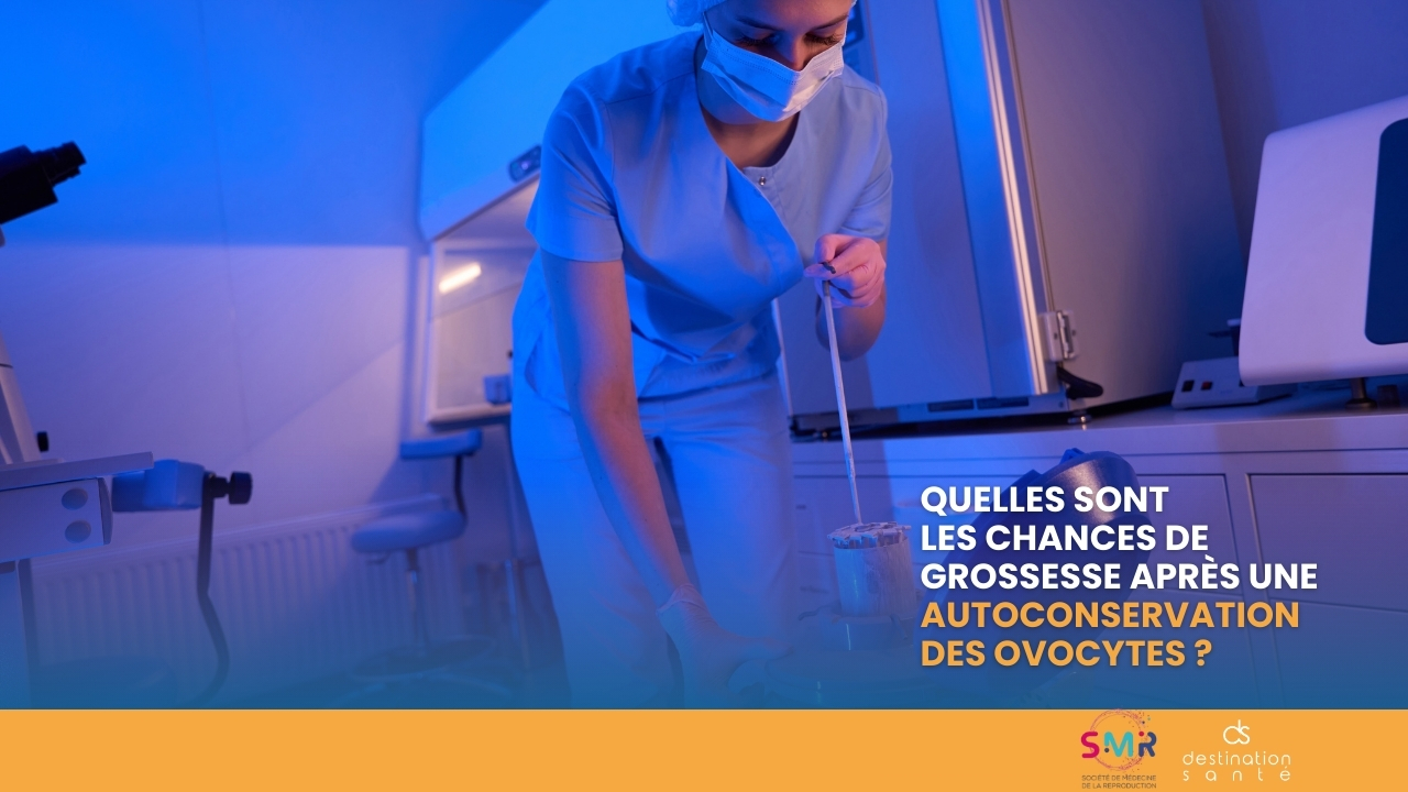 Quelles sont les chances de grossesse après une autoconservation des ovocytes ? (Vidéo)